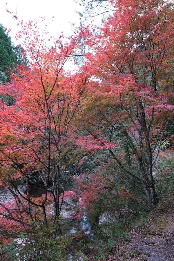 Shimanto Riverside Hideaway ภายนอก รูปภาพ